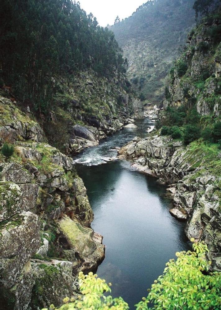 Crasto Payva Douro Nature Castelo de Paiva Exterior foto
